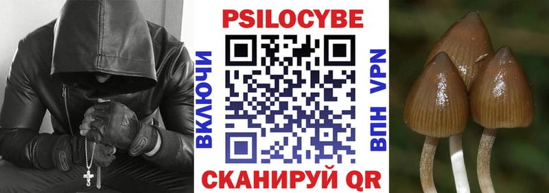 Галлюциногенные грибы Cubensis  закладка  Ясный 